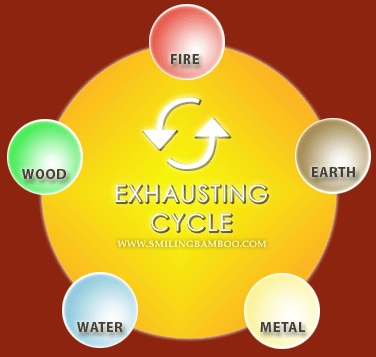 A graphic of the five elements in the cycle.
